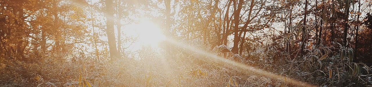 sunbeam
